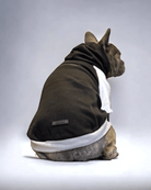 Clockwork Prince Hoodie - MODA PAWS