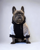 Clockwork Prince Hoodie - MODA PAWS