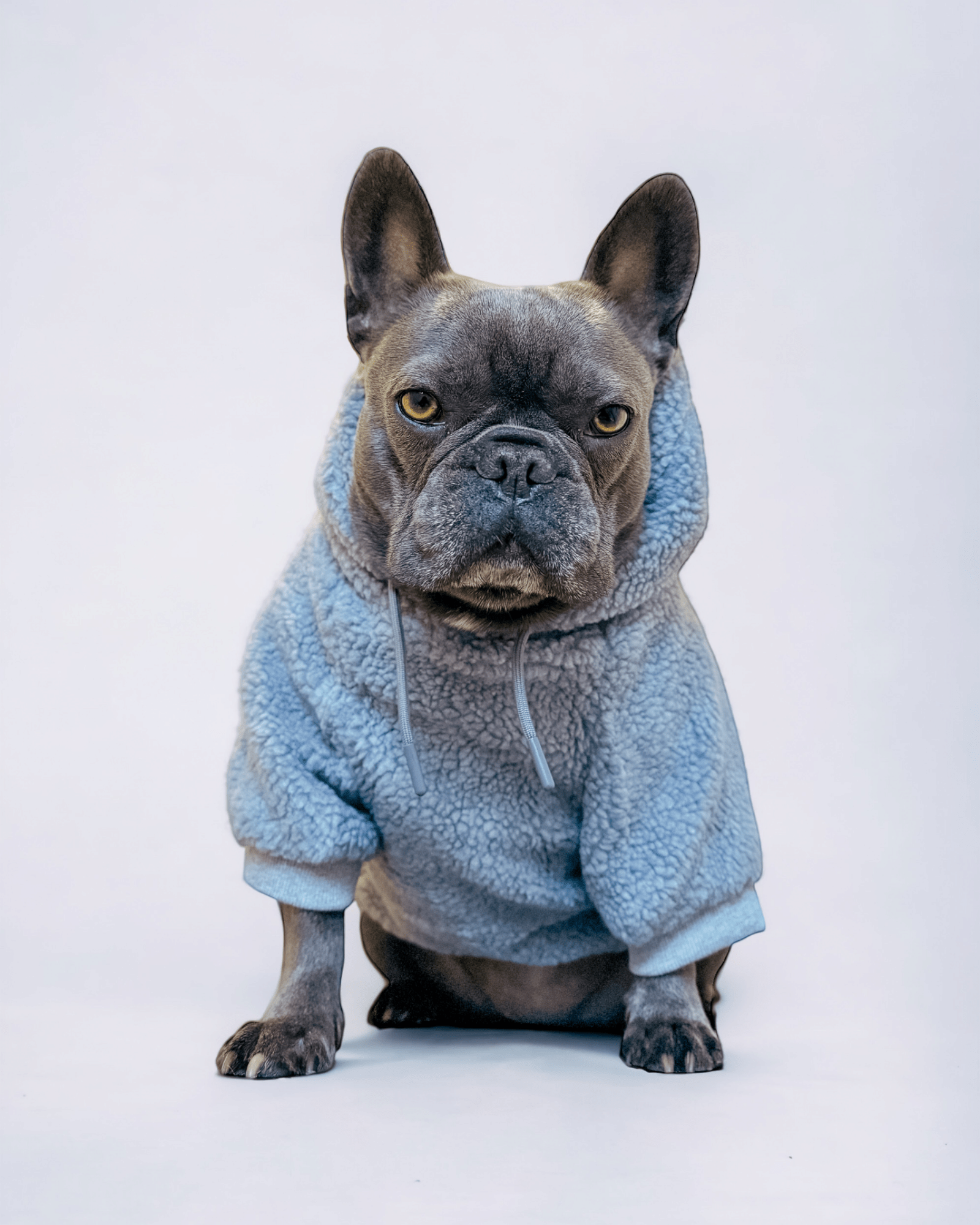 Teddy Fleece Hoodie - MODA PAWS