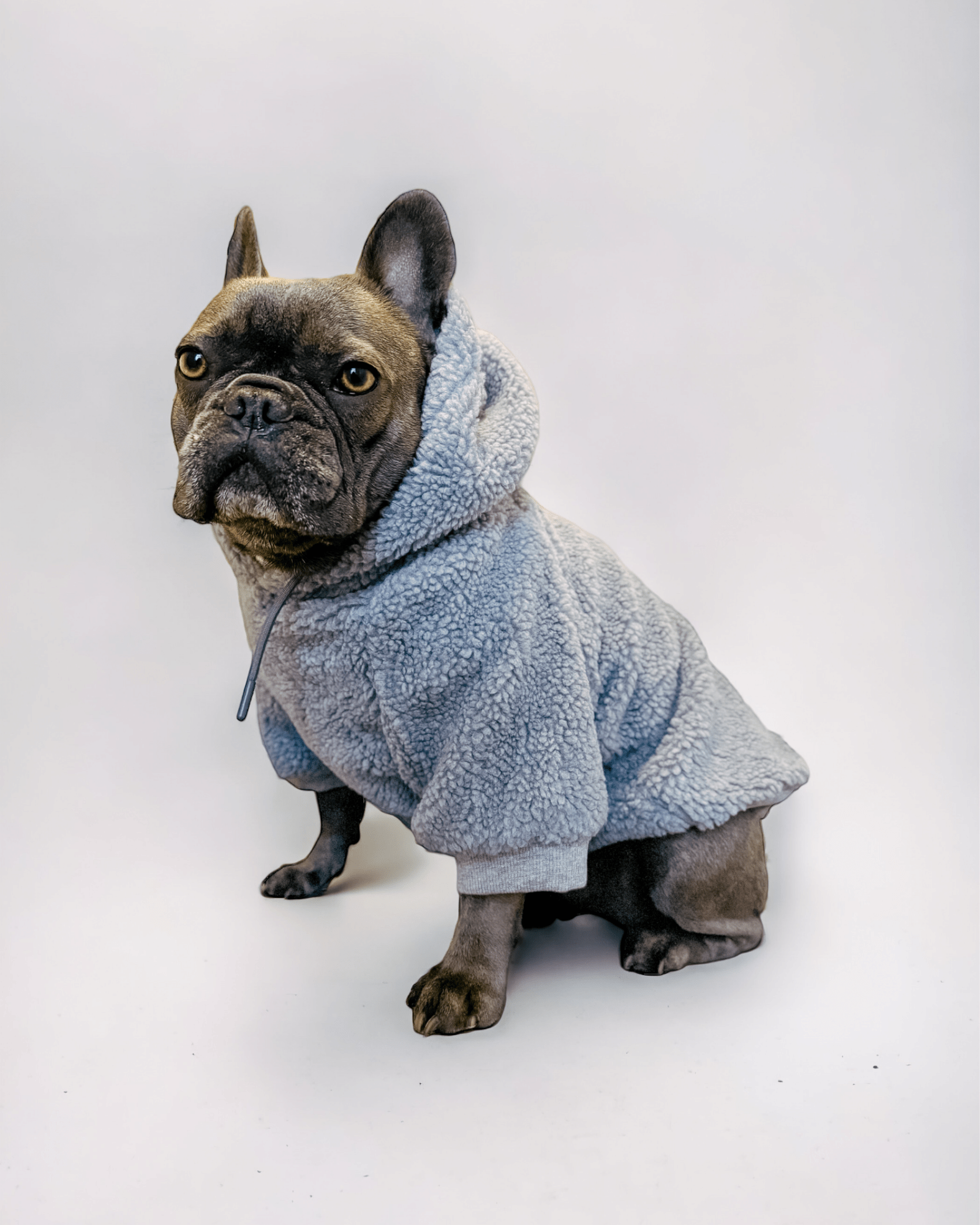 Teddy Fleece Hoodie - MODA PAWS