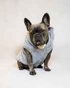 Teddy Fleece Zipper - MODA PAWS