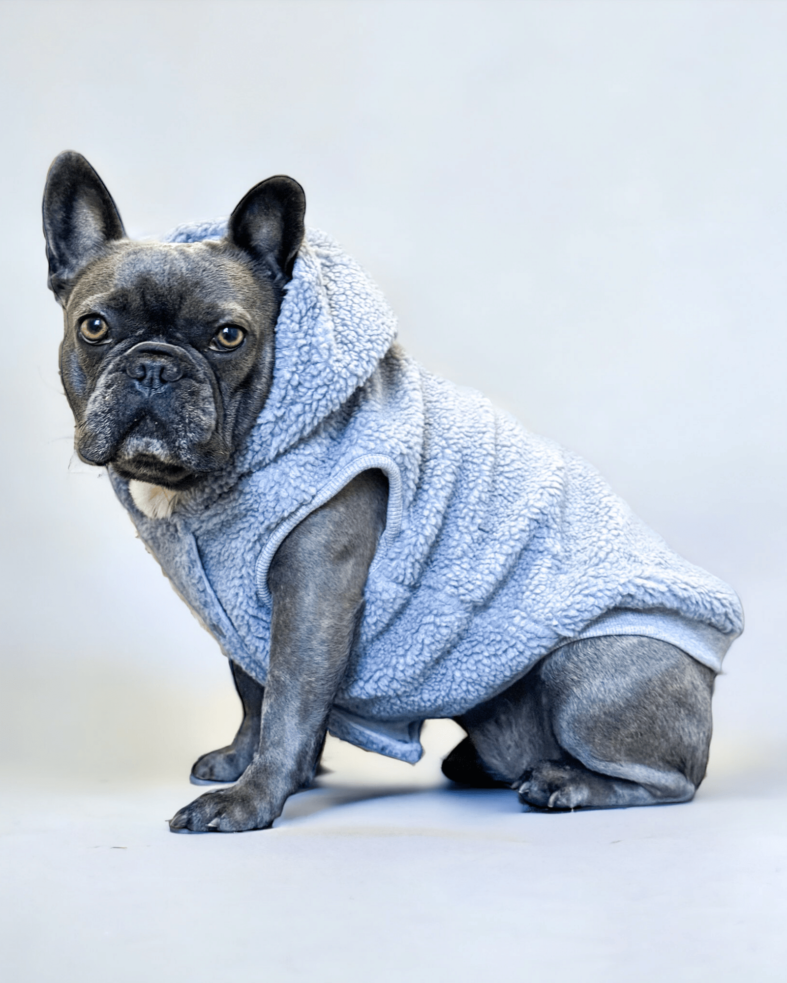 Teddy Fleece Zipper - MODA PAWS