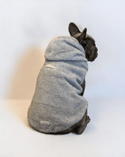 Teddy Fleece Zipper - MODA PAWS