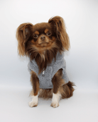 Teddy Fleece Zipper - MODA PAWS